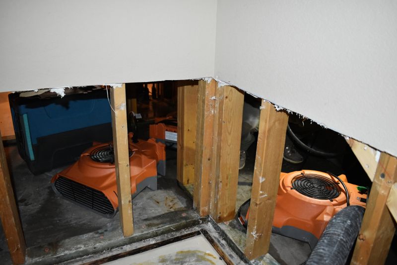 Water Damage Cleanup Service