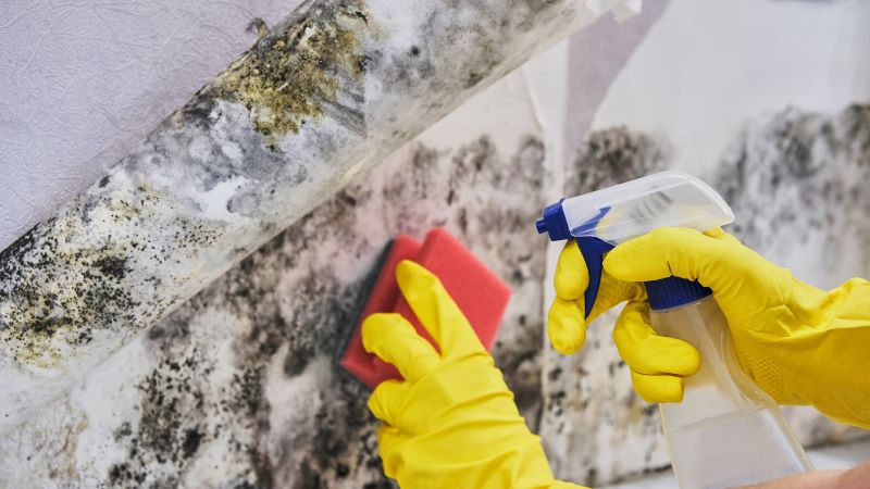 Mold Prevention Measures