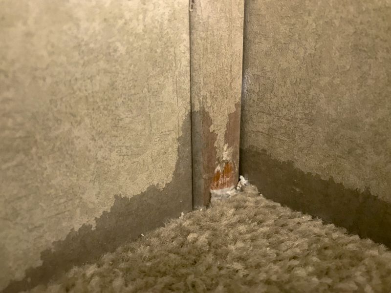Wet Carpet Restoration