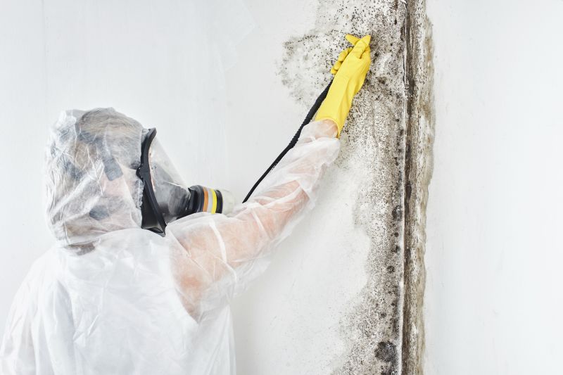 Cleaning and Mold Remediation Experts